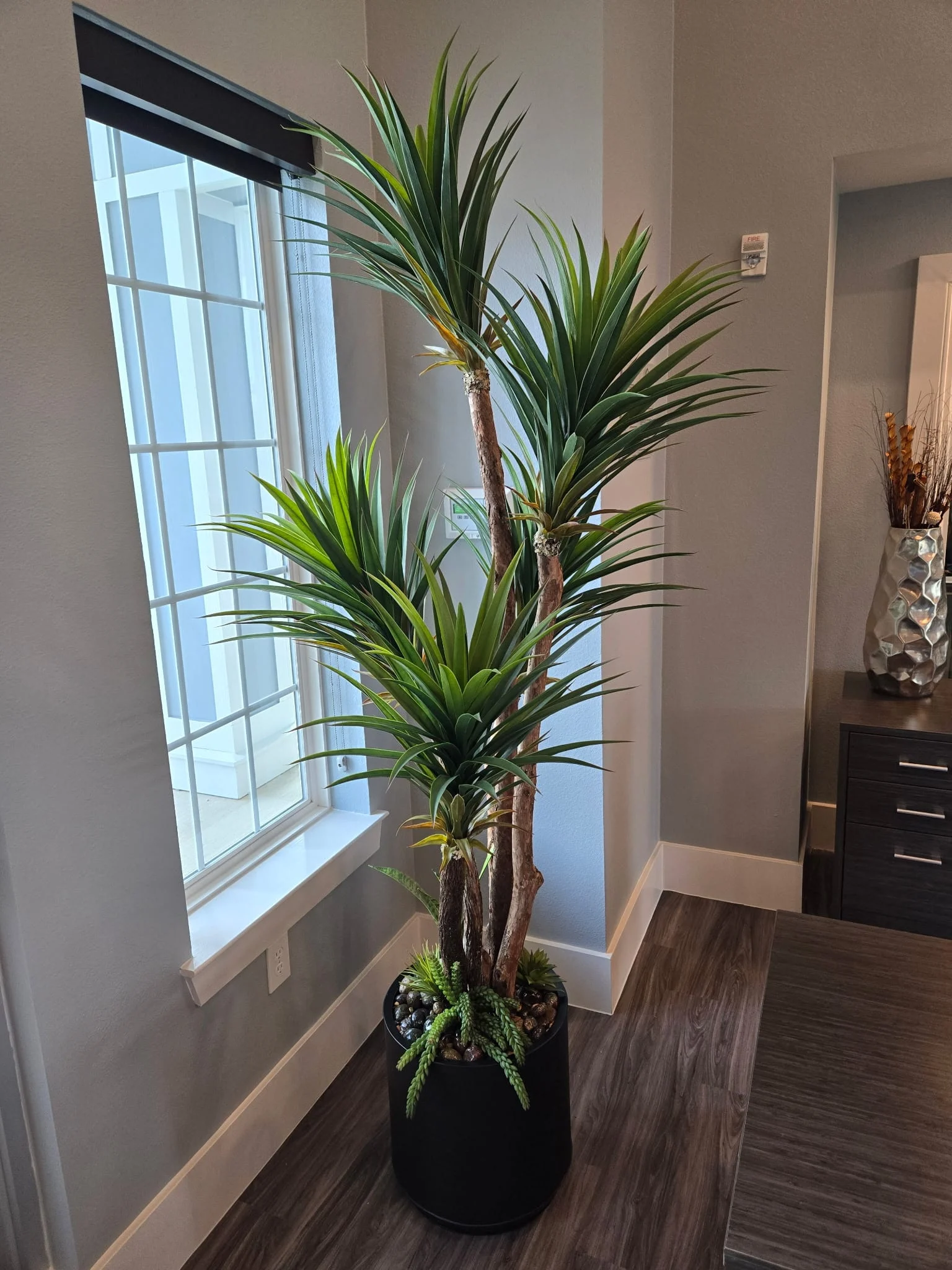 Multi-trunk faux yucca in a black cylinder planter with river stones and trailing succulents, in an office corner beside a window