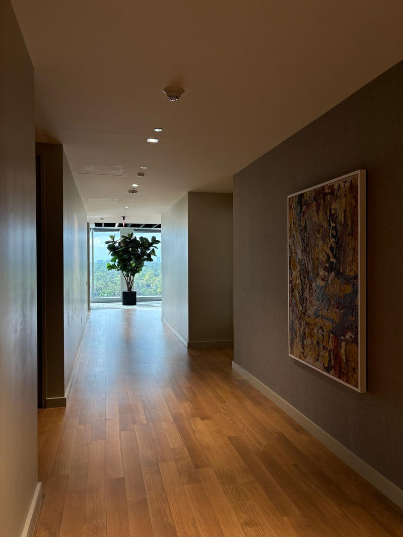 Fiddle leaf fig at the end of a hallway with abstract art