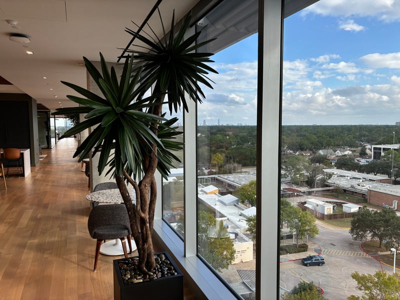 Sculptural yucca beside a terrazzo café table
