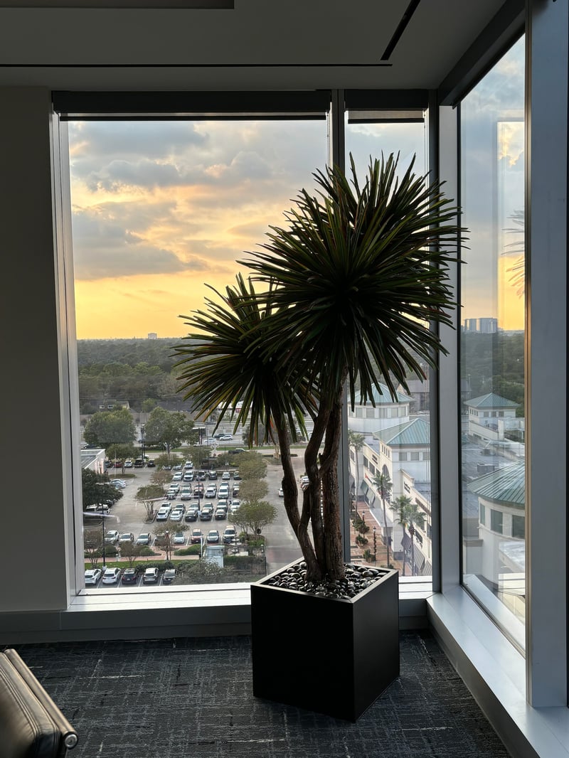 Sculptural yucca silhouetted at sunset against a city skyline
