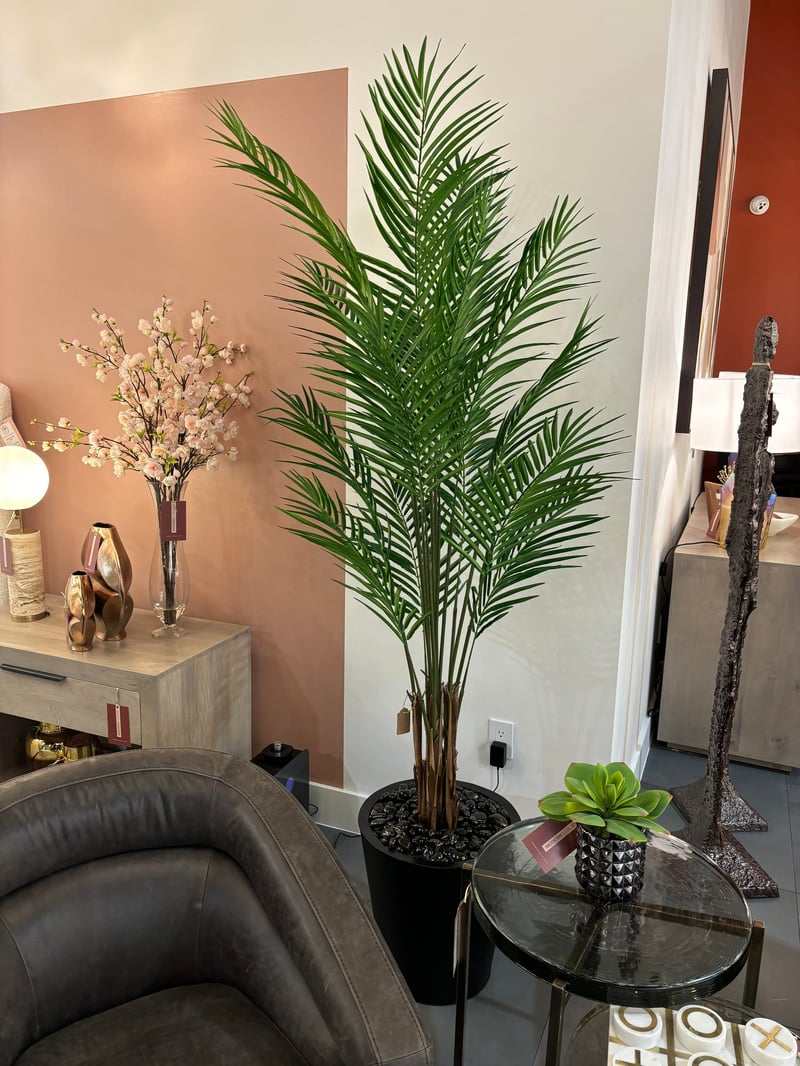 Full areca palm with arching frond canopy in a showroom setting