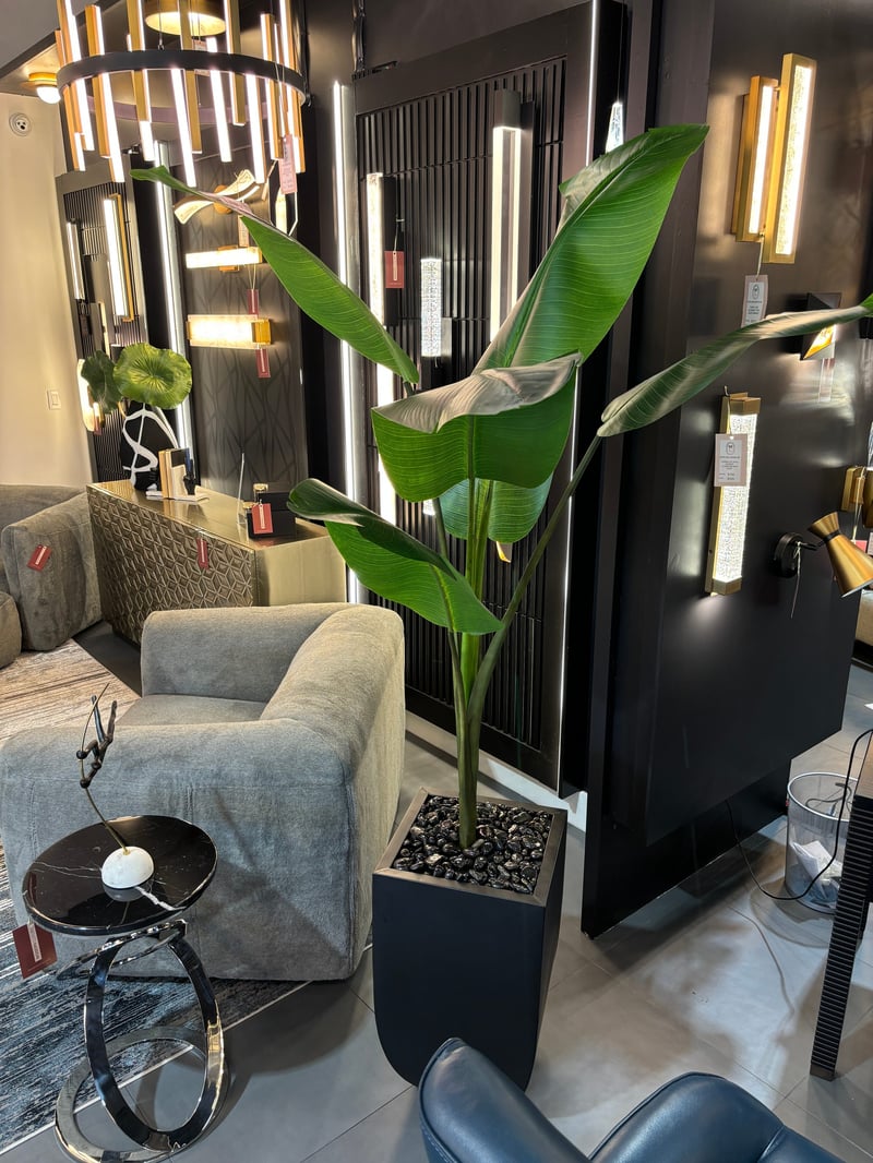 Bird of paradise styled beside showroom lighting displays